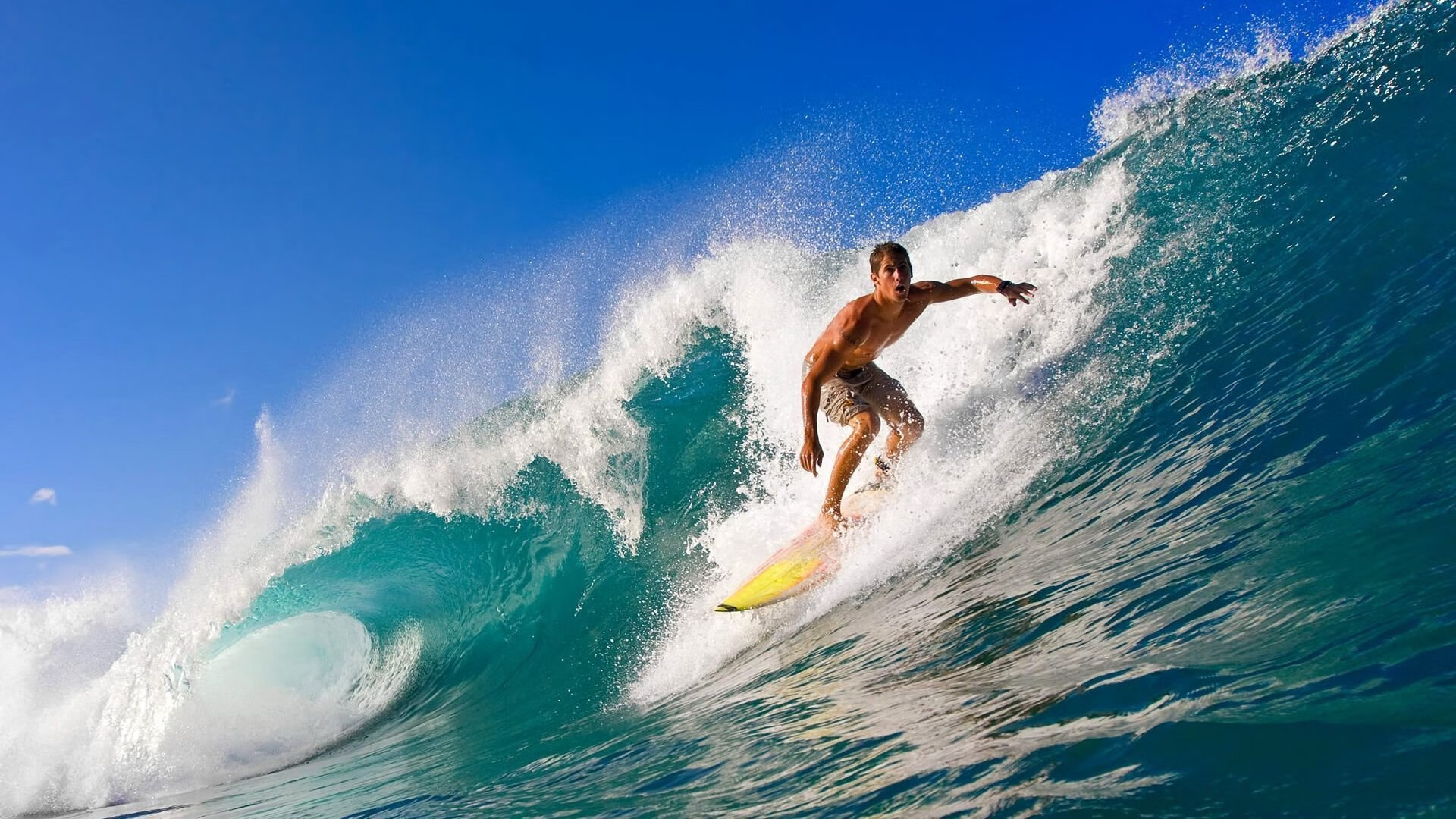 沙尔克04逆转对手，重燃保级希望，沙尔克04贴吧